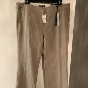 NWT Express Columnist Pants